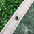 Transparent Rain Tarp Thickened PE Garden Plants Rain Shelter Cover for Courtyard Balcony