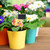 10Pcs Wood Mini Blackboard Plant Label Long Round Rod Message Board for Garden Wedding