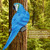 Resin Lifelike Bird Ornament Figurine Parrot Model Toy Garden Sculpture Wall Decor Blue Right​