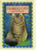 Glorious Cats: The Paintings of Lesley Anne Ivory