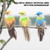 12Pcs Beautiful Colorful Simulation Foam Bird Decor Garden Plants Decoration Ornament