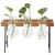Desktop Glass Planter Wooden Stand Bulb Glass Vase Hydroponics Plant Planter for Home Office Garden3 Bottle