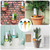 6PCS Auto Plant Watering Devices Self-Watering Spikes Slow Release Control Flow Rate Drip Irrigation for Outdoor Indoor Plants