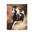 DIY Animals Series Rhinestone Painting Living Room Bedroom Decoration Art Craft 8620 Horse