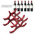 Wooden Red Wine Rack Red Wine Holder Shelf Stand 6 Bottles