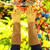 Rose Pruning Gardening Leather Gloves Wearproof Puncture Proof Long Work Glove(Yellow S)