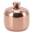 Stainless Steel Gold Seasoning Condiment Pot Spice Salt Sugar Pepper Container Jar Storage Organizer with Lid Rose Gold