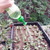 3 Pcs Portable 4.6x3cm Water Nozzle Watering Sprinkler for Bottle Shower Cans Plant Watering Tool