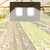 100W Indoor LED Plants Growing Light Full Spectrum COB Plant Grow Lamp