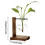 Transparent Vase Desktop Wooden Stand Glass Clear Plant Vase for Home Table Desk Interior Decoration