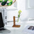 Transparent Vase Desktop Wooden Stand Glass Clear Plant Vase for Home Table Desk Interior Decoration