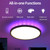RGBCW Ceiling Lamp BT Remote  Infinitely Dimmable Bedroom Ceiling Lamp