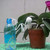 2Pcs Automatic Watering Devices Self Drip Irrigation Set Plant Watering Tools