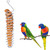 Stainless Steel Spiral Birds Feeder Treat Fruit Holder for Parrot Bird Feeder