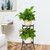 Heavy Duty Iron Potted Plant Stand Double Layer Metal Flower Pot Rack for Indoor Outdoor Plants