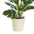 Simulated Plant Bonsai Lifelike Decorative Indoor Artificial Potted Plants for Home 61894