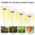 LED Grow Light Full Spectrum 10W 2H/4H/8H Timer 4 Dimmable Levels Plant Lights for Indoor Plants Flower Seedlings Vegetable Pepper Hanging Growing Lamps