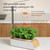 Indoor Gardening System with LED Grow Light