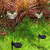 Waterproof Solar Powered Light Control Yard LED Butterfly Multicolor Garden Lawn Lamp (Green)