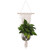 Bohemian Style Tassel Decoration Wall Hanging Flowerpot Plant Hanger OrnamentCotton Rope Hanging Decor