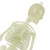 Glowing in The Dark Halloween Skeleton Decor Luminous Lifelike Skeleton Model for Front Lawn Haunted House Bar Props Halloween Party Decorations