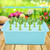 11 Holes Hydroponic System Grow Plant Flower Water Soilless Culture Box (Blue, )