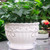 10 pcs Clear Plant Saucers Plastic Flower Pot Drip Trays for Indoors Outdoors