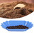 Food Grade PP Plastic Coffee Beans Sample Tray Display Dish Plate Container Home Kitchen AccessoriesLight Blue