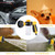 Foam Spray Gun with 100mL Soap Dispenser Garden Hose Hand Spray Nozzle 8 Adjustable Patterns Lawn Pipe Sprayer Washing Sprinkler for Watering Plants Car Wash and Showering Dog Pets