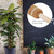 2Pcs 450mm Coir Totem Pole Moss Stick Fibre Plant Climbing Plant Support Totem Pole for Plant Support Extension