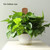 2Pcs 450mm Coir Totem Pole Moss Stick Fibre Plant Climbing Plant Support Totem Pole for Plant Support Extension