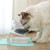 Cat Bowls Pet Feeding Bowl Cat Water Bowl Durable Fall Resistant 15 Degree Tilt Single Cat Food Bowl