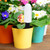Garden Plant Soil Electronic Hygrometer Mini MultiFunctional Moisture Meter Tester Analyzer