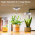 Ground-plugged Plant Light Timable Dimmable Angel Ring Full Spectrum Imitation Sunlight Succulent Pot Grow Light Fill Lights