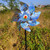 Bird Windmill Outdoor Birds Repellent PinWheels Reflective Windmill Bird Repellers