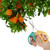 Stainless Steel Garden Hand Pruner Secateurs Cutter Scissors Pruning Shear Plants Bush Tool