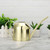 Stainless Steel Watering Can Plant Watering Pot with Long Spout Watering Can Gardening Tools 450ml
