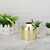 Stainless Steel Watering Can Plant Watering Pot with Long Spout Watering Can Gardening Tools 450ml