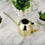 Stainless Steel Watering Can Plant Watering Pot with Long Spout Watering Can Gardening Tools 450ml