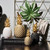Nordic Modern Resin Pineapple Decor Living Room Wine Cabinet Window Desktop Home Decoration