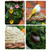 Hanging Bird House Decorative Cute Cage for Bird Outdoor Resin Bird House Hanging Nest Ornament Bird Box Figurine For Cockatoo Macaw Parakeet Finches