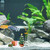 Fish Tank Aquarium Ornament Resin Christmas Tree Gift Box Ornament Christmas Landscaping Decor
