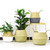 Foldable Storage Baskets Laundry Straw Patchwork Home Seagrass Belly Garden Flower Pot Basket