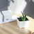 Innovative Keyboard Button Shape Cute Water Cup Drinking Cup Set with Tray for Home Use White