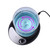 Magnetic Stirrer Mini Magnetic Mixer Speed Adjusting with Stir Bar No Heating 2000ml Stirring Capacity for Laboratory Kitchen Homebrew