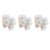 50Pcs Terminal Block FlameRetardant ThroughType Wire Connector Industrial Supplies 20A(2in2out )