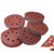 75 Pcs 5 Inch 8 Hole Sandpaper 1mm Thick 120 240 400 800 1000 Grit Sanding Disc for Rust Paint Burr Removal
