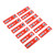 12pcs Plastic Prepared Microscope Slides Animals Insects Flowers Plants Red box