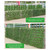 Simulation Fence Fence Telescopic Fence Fake Flowers Green Leaves Outdoor Garden Fence Wall Guardrail Decorative Leaves Blocking Plants Small
