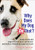 Why Does My Dog Do That?: Understand and Improve Your Dog's Behaviour and Build a Friendship Based on Trust Why Does My Dog Do That?: Understand and Improve Your Dog's Behaviour and Build a Friendship Based on Trust